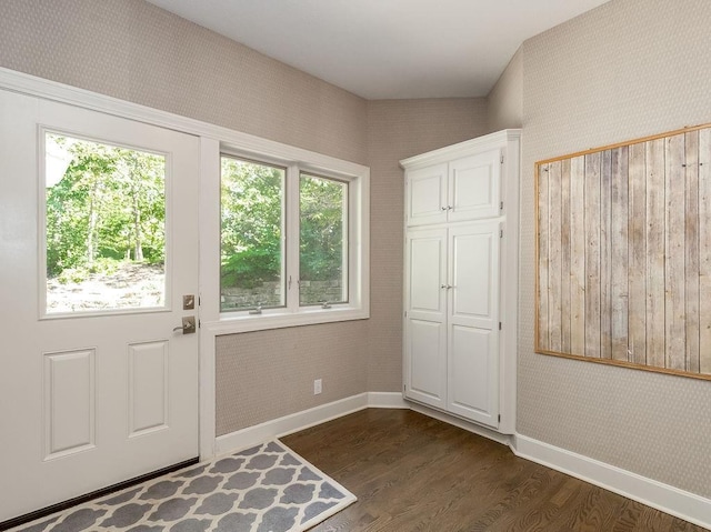 doorway to outside with dark wood-type flooring and a wealth of natural light