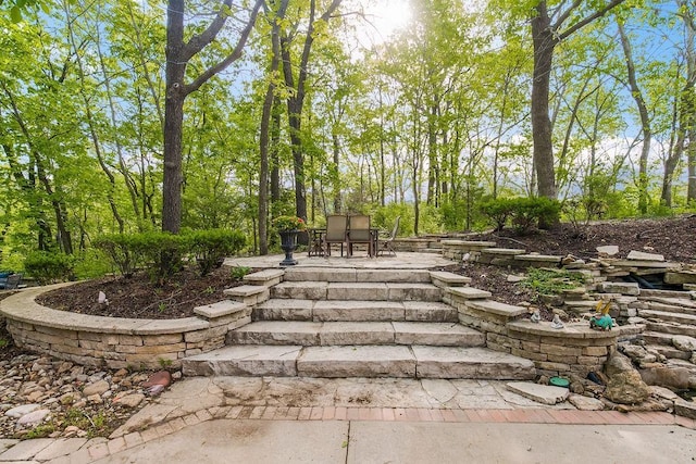 view of yard featuring a patio area