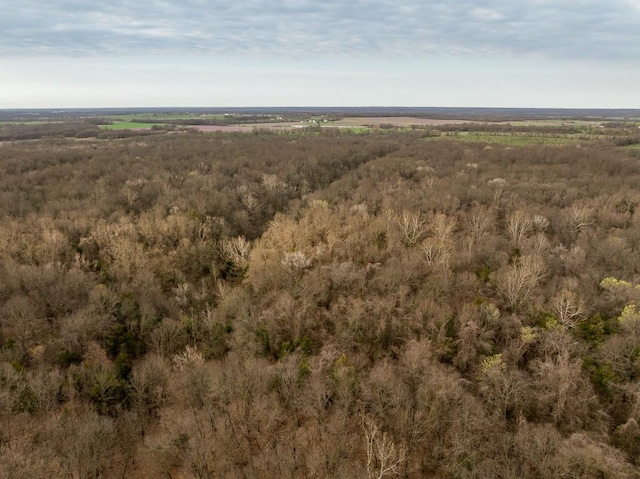 view of drone / aerial view