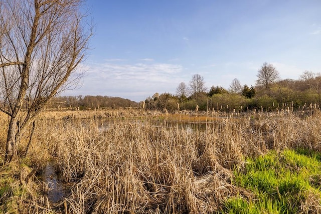 view of nature with a rural view