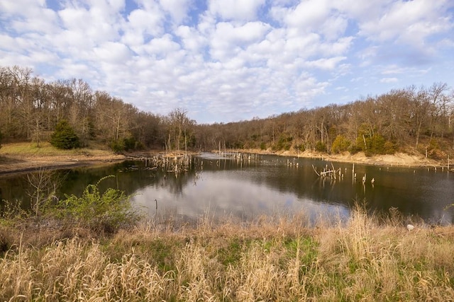 view of water view