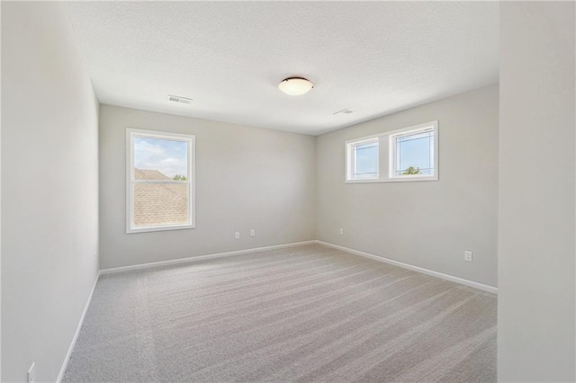 empty room with carpet floors and a healthy amount of sunlight