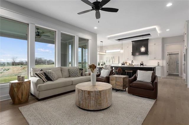 living room featuring light hardwood / wood-style floors