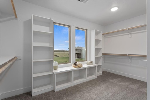 spacious closet with carpet floors