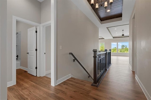 corridor featuring hardwood / wood-style flooring and a tray ceiling