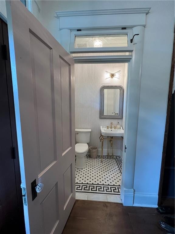 bathroom with hardwood / wood-style flooring, toilet, and sink