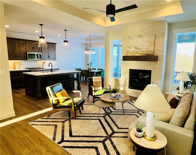 living room with sink, a wealth of natural light, dark wood-type flooring, and a tray ceiling