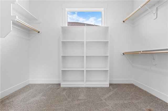 spacious closet featuring carpet floors