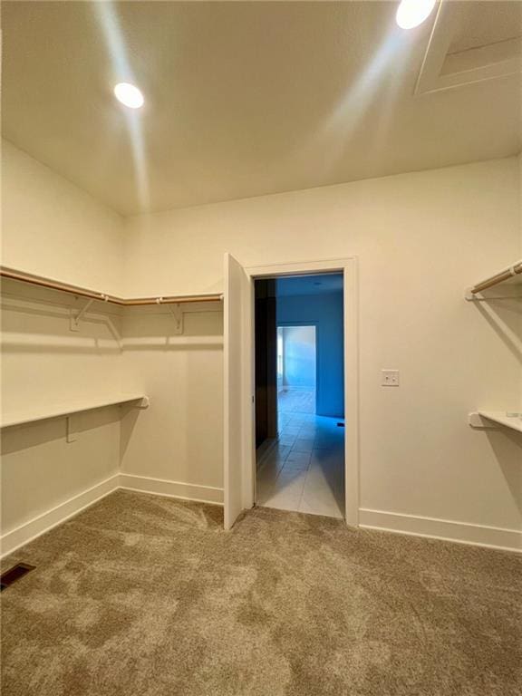 spacious closet featuring carpet flooring