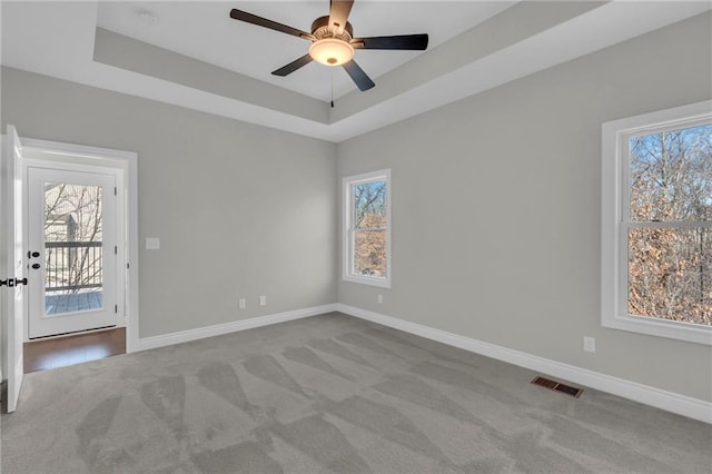 spare room featuring a wealth of natural light, light colored carpet, and a tray ceiling