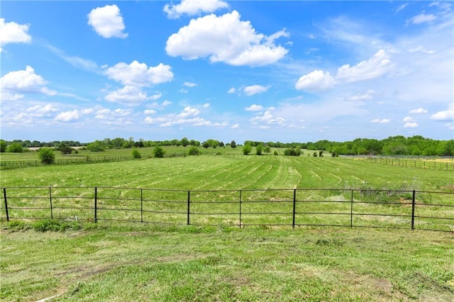 view of yard with a rural view