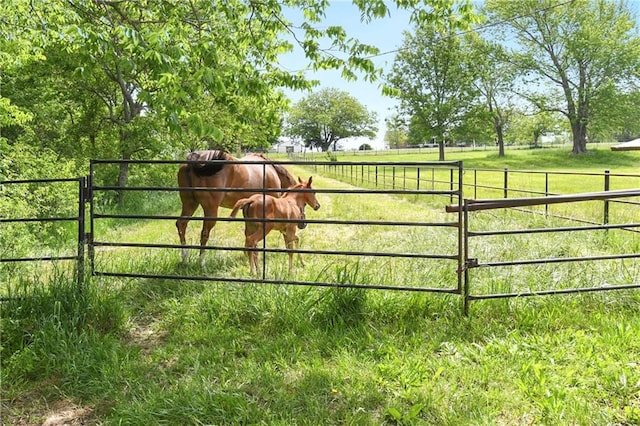 view of gate featuring a yard and a rural view