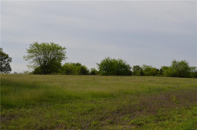 LOT16TBD Countryside Cir, Otterville, MO 65348 - photo 8