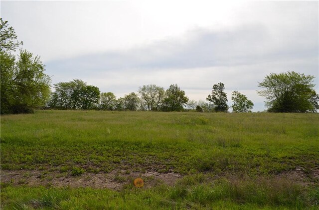 LOT16TBD Countryside Cir, Otterville, MO 65348 - photo 9