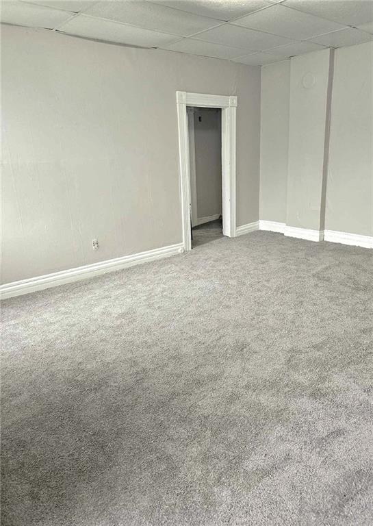 carpeted empty room with a paneled ceiling