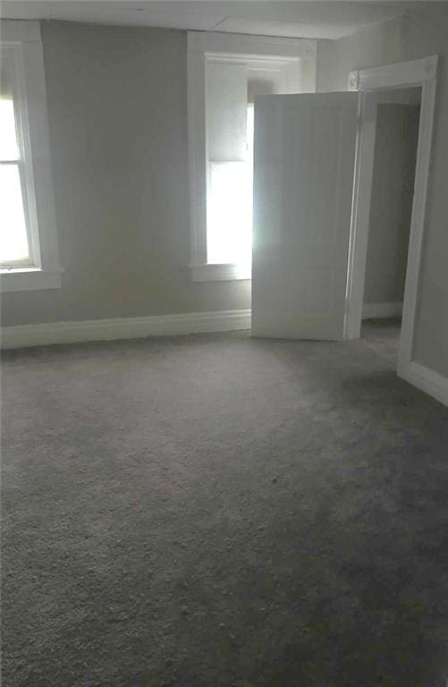 empty room featuring a wealth of natural light and carpet floors