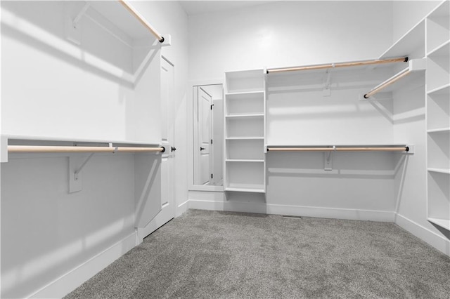 spacious closet with carpet