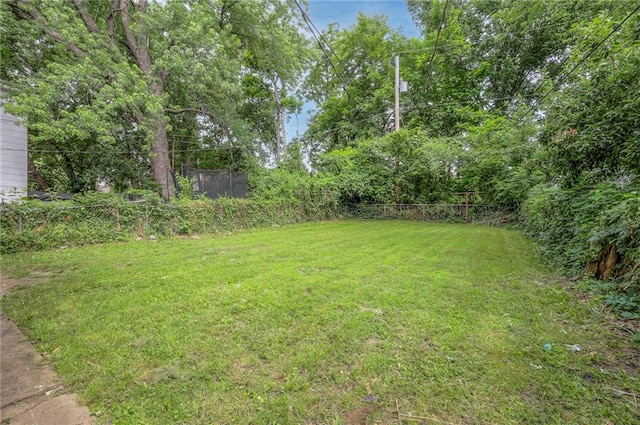 view of yard featuring a fenced backyard