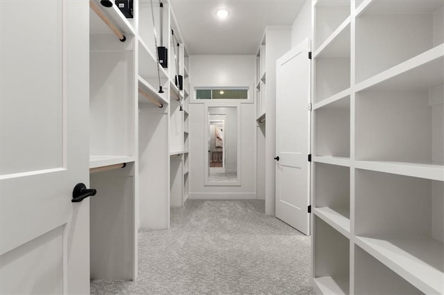 spacious closet with light carpet