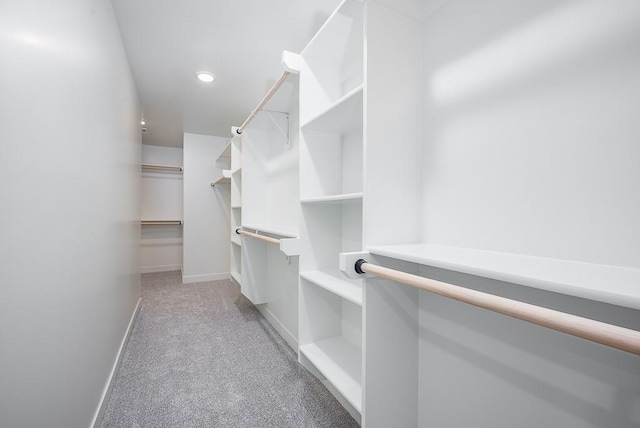 spacious closet featuring light colored carpet