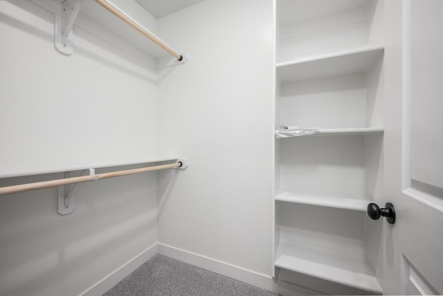 walk in closet with carpet