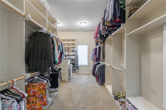 walk in closet featuring carpet flooring