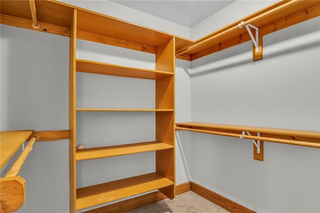 spacious closet with carpet