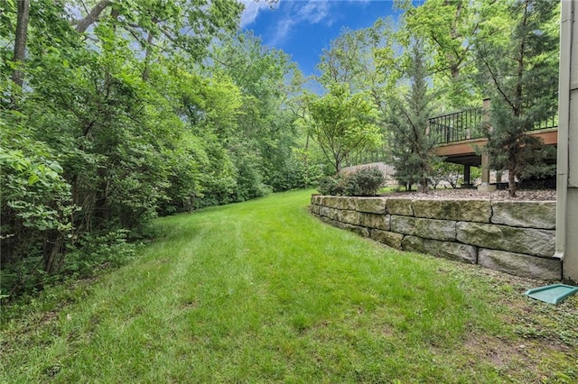 view of yard featuring a deck