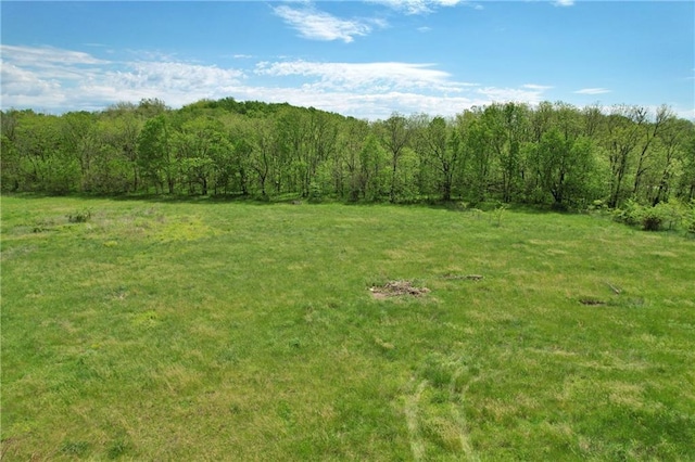 Listing photo 3 for TBD J Highway, Hughesville MO 65334