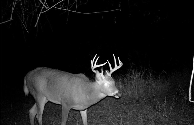 00000 Hatchell Rd, Tonganoxie, KS 66086 - photo 9