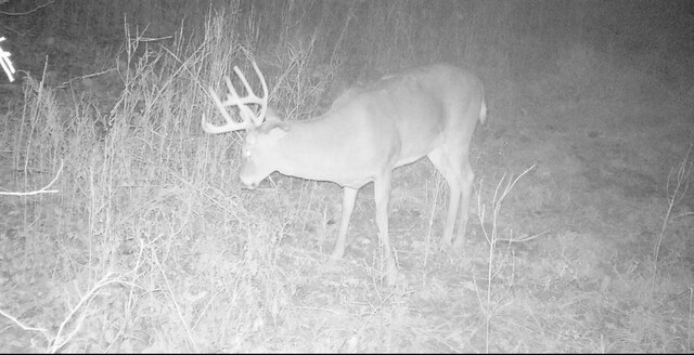 00000 Hatchell Rd, Tonganoxie, KS 66086 - photo 10