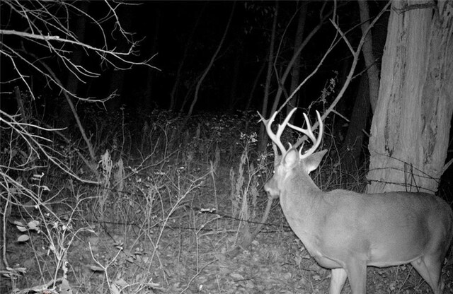 00000 Hatchell Rd, Tonganoxie, KS 66086 - photo 12