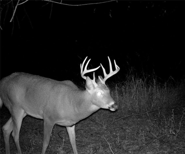 00000 Hatchell Rd, Tonganoxie, KS 66086 - photo 13