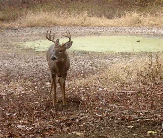 00000 Hatchell Rd, Tonganoxie, KS 66086 - photo 14