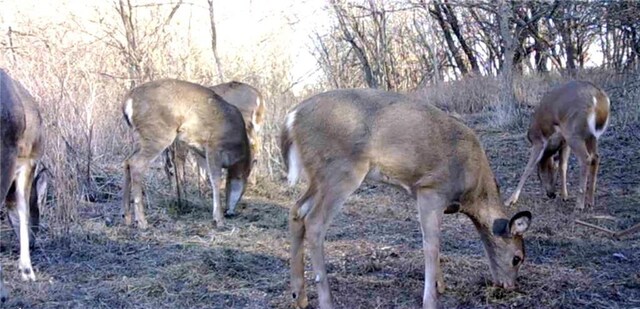 00000 Hatchell Rd, Tonganoxie, KS 66086 - photo 18