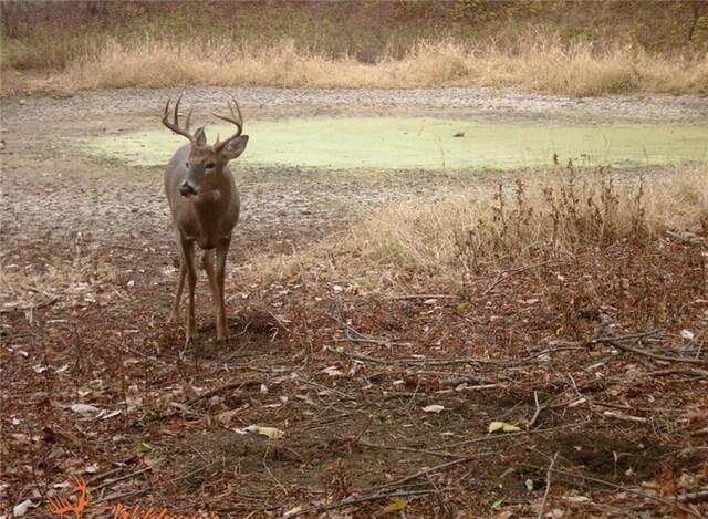 00000 Hatchell Rd, Tonganoxie, KS 66086 - photo 21