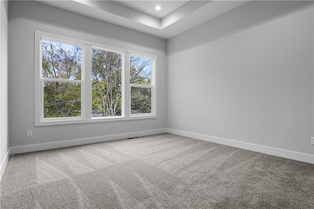 spare room with carpet and a healthy amount of sunlight