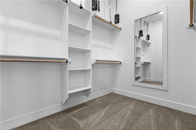 walk in closet with carpet