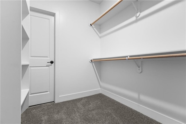 walk in closet with dark colored carpet