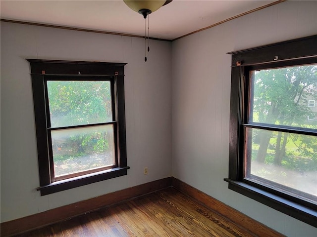 unfurnished room with dark hardwood / wood-style floors and plenty of natural light