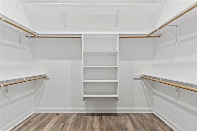 walk in closet with hardwood / wood-style flooring