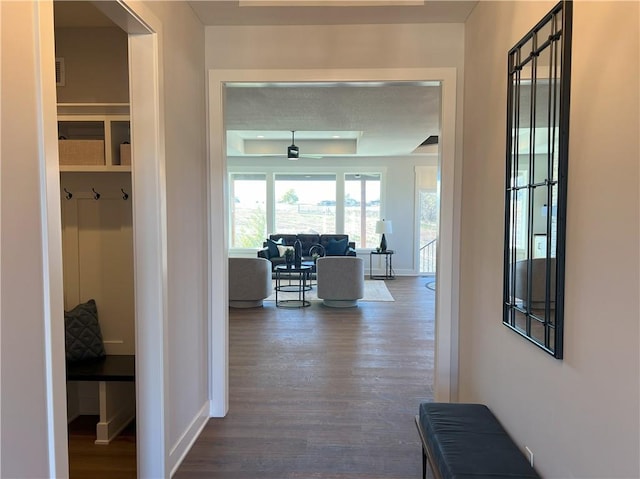 corridor featuring dark hardwood / wood-style flooring