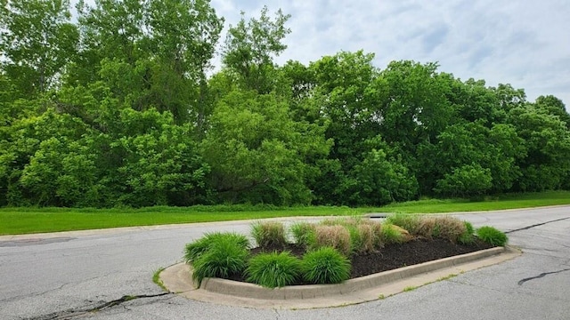 Listing photo 3 for LOT31TBD Horseshoe Ln, Oak Grove MO 64075