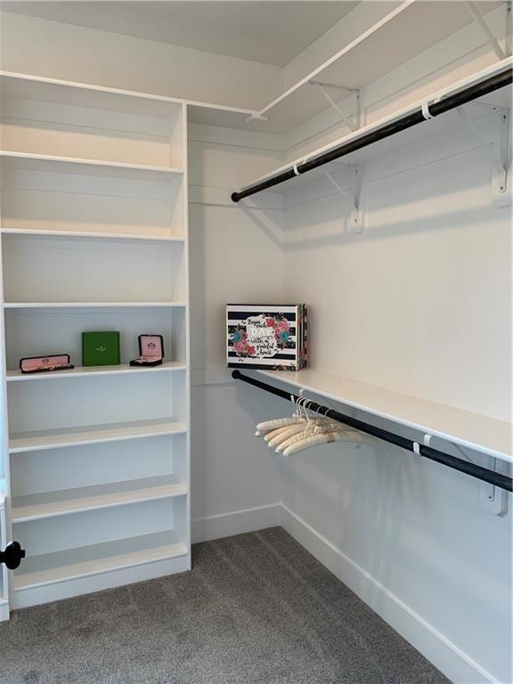 spacious closet featuring carpet