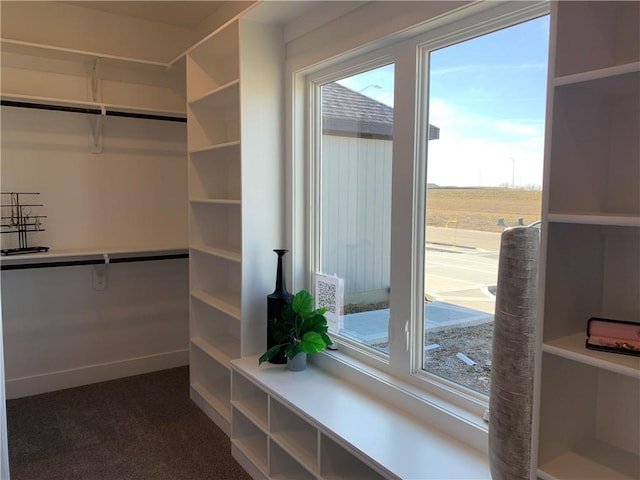 walk in closet featuring dark carpet