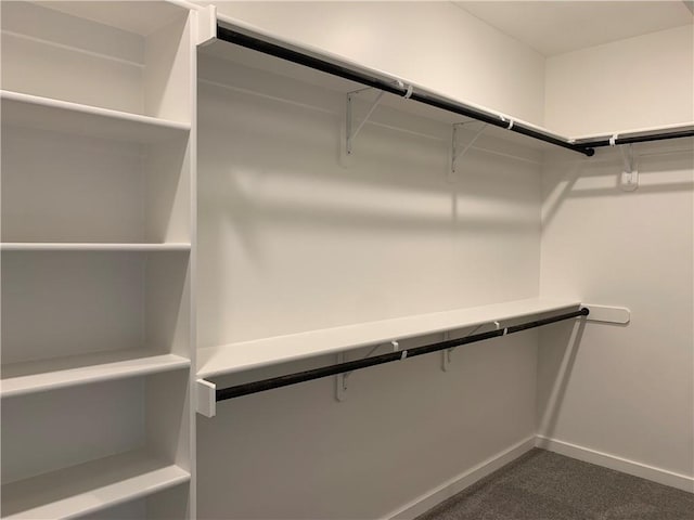 spacious closet with dark colored carpet