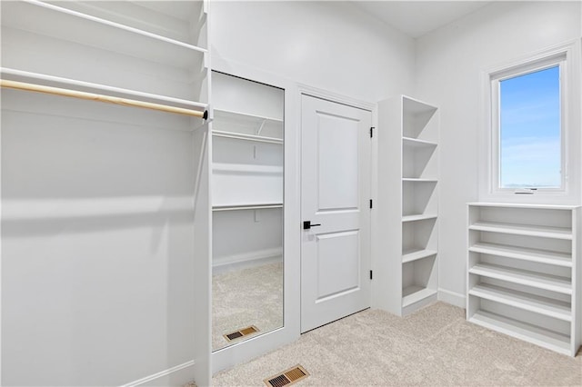 walk in closet with light colored carpet