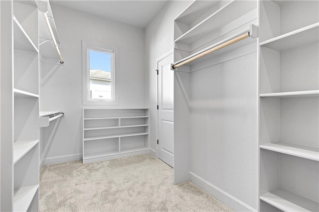 spacious closet featuring light carpet