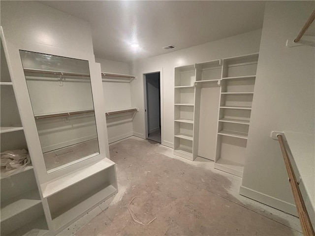 view of spacious closet