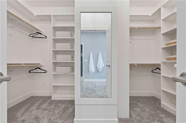 spacious closet featuring carpet